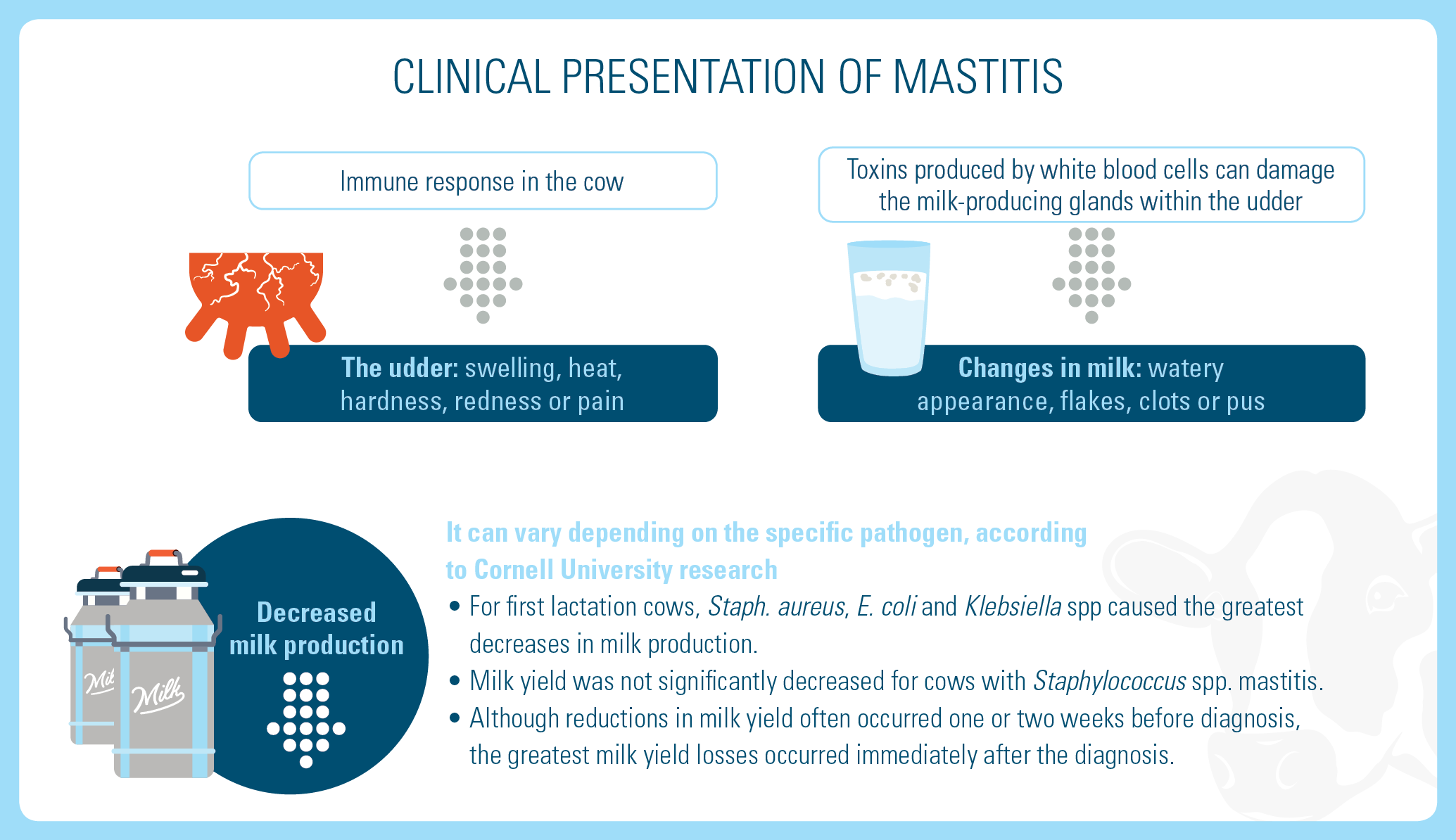 Merck Mastitis