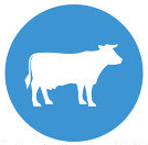 cow icon