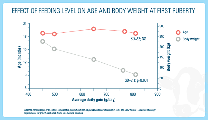 feeding level on age