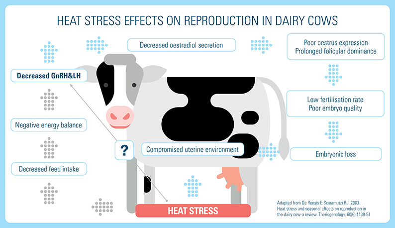 Heat Stress Effects on Reproduction in Dairy Cows
