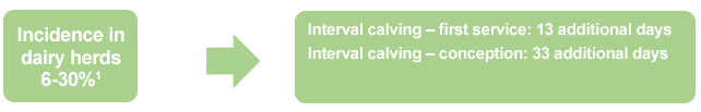 incidence in dairy heards 5-30%