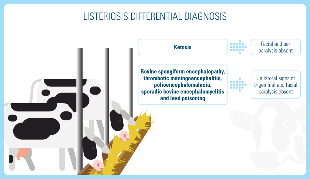 listeriosis differential diagnosis