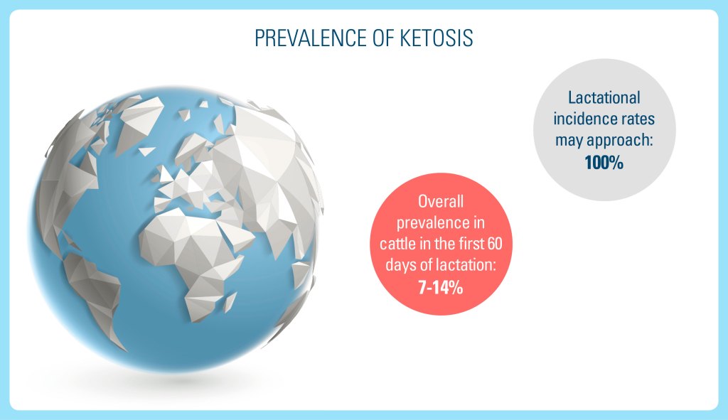 prevalence of ketosis