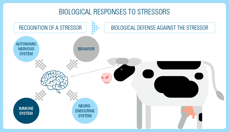 Biological defence against stressor