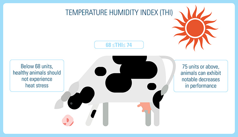 Temperature Humidity Index