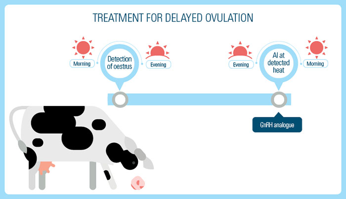 Treatment for delayed ovulation