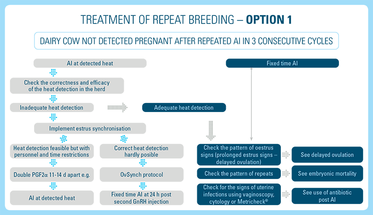 Treatment of Repeat Breeding