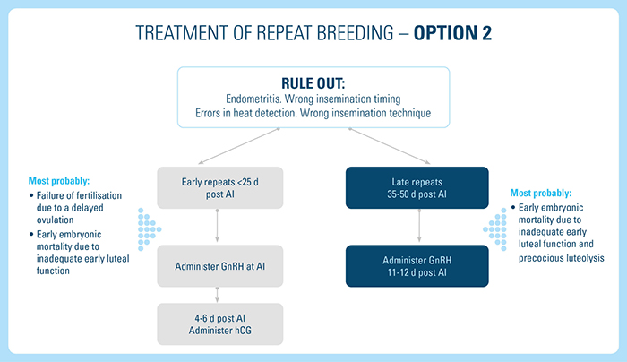 Treatment of Repeat Breeding option 2