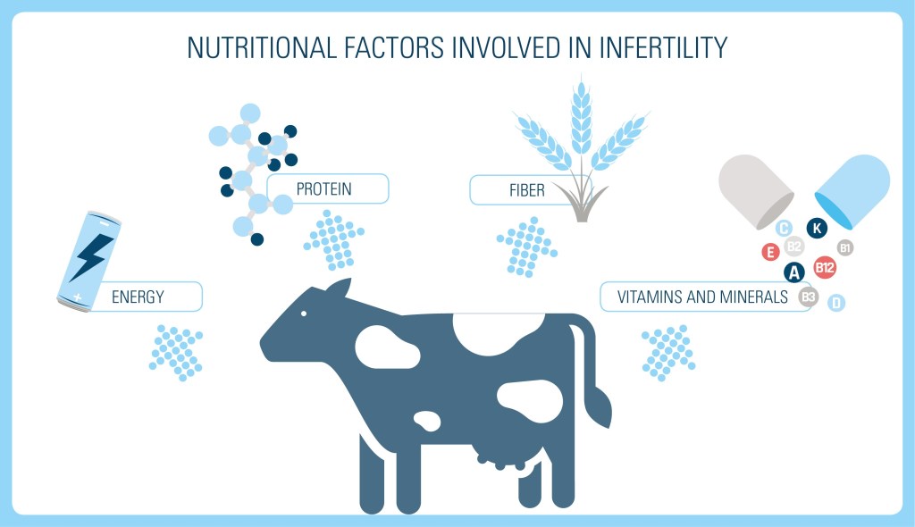 Nutritional Factors Involved in infertility