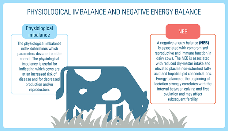 Physiological imbalance and negative energy balance